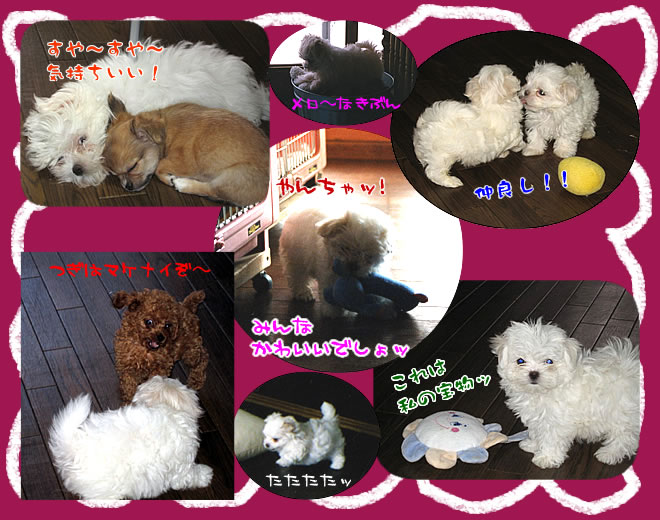 Baby & Puppy